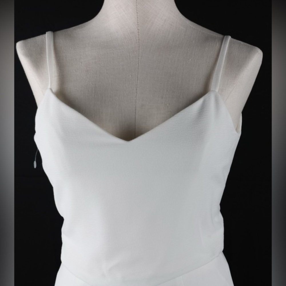 NWT Dress The Population Dress